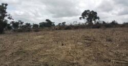 Buy a Land at BEWAJI ROYALE, MONIYA – IBADAN